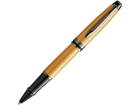 Ручка-роллер Waterman Expert Silver F BLK в подарочной упаковке