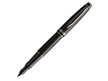Перьевая ручка Waterman Expert Silver F BLK в подарочной упаковке