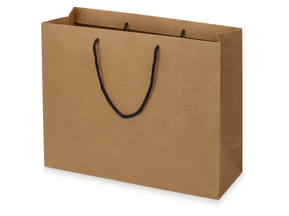 Пакет подарочный Kraft S, 23x30x12 см (Р)