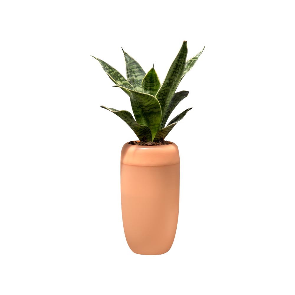 Горшок с крышкой, оранжевый