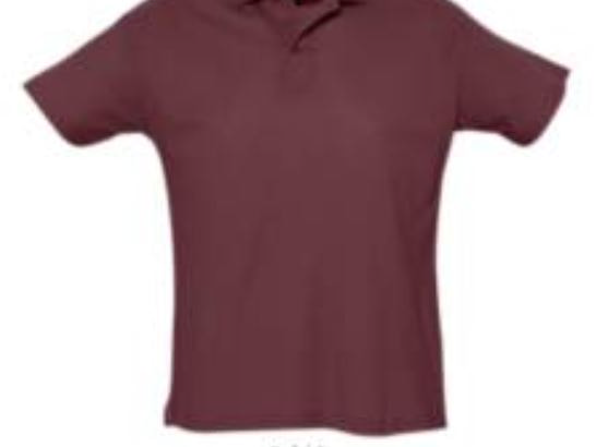 Рубашка поло мужская SUMMER II 170