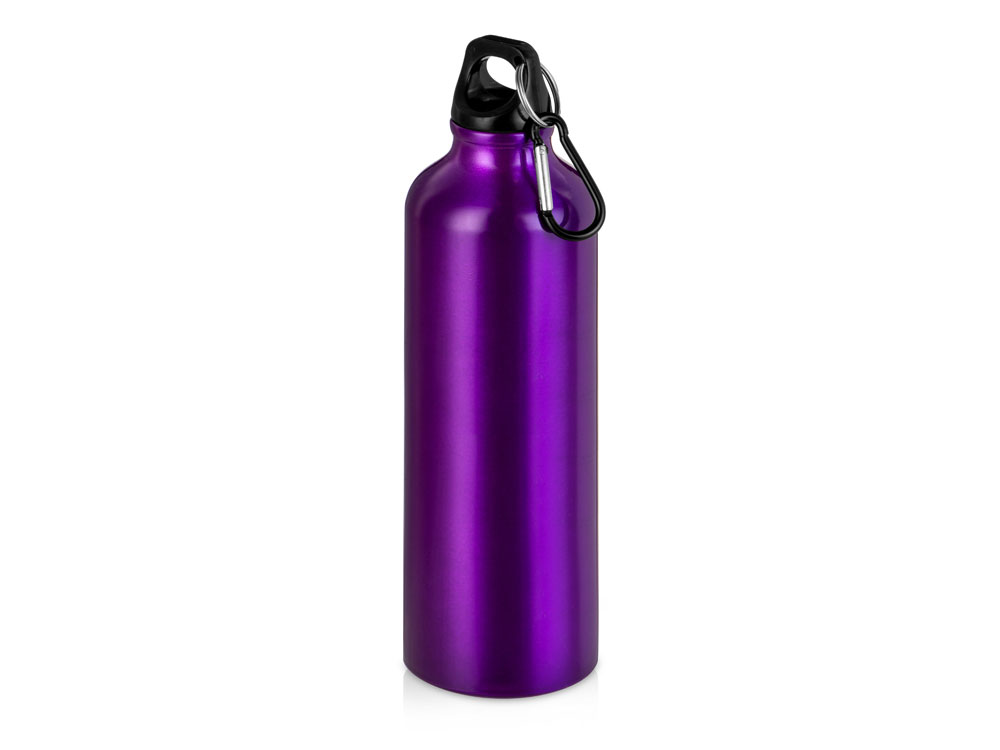 Бутылка Hip M с карабином, 770 мл, пурпурный