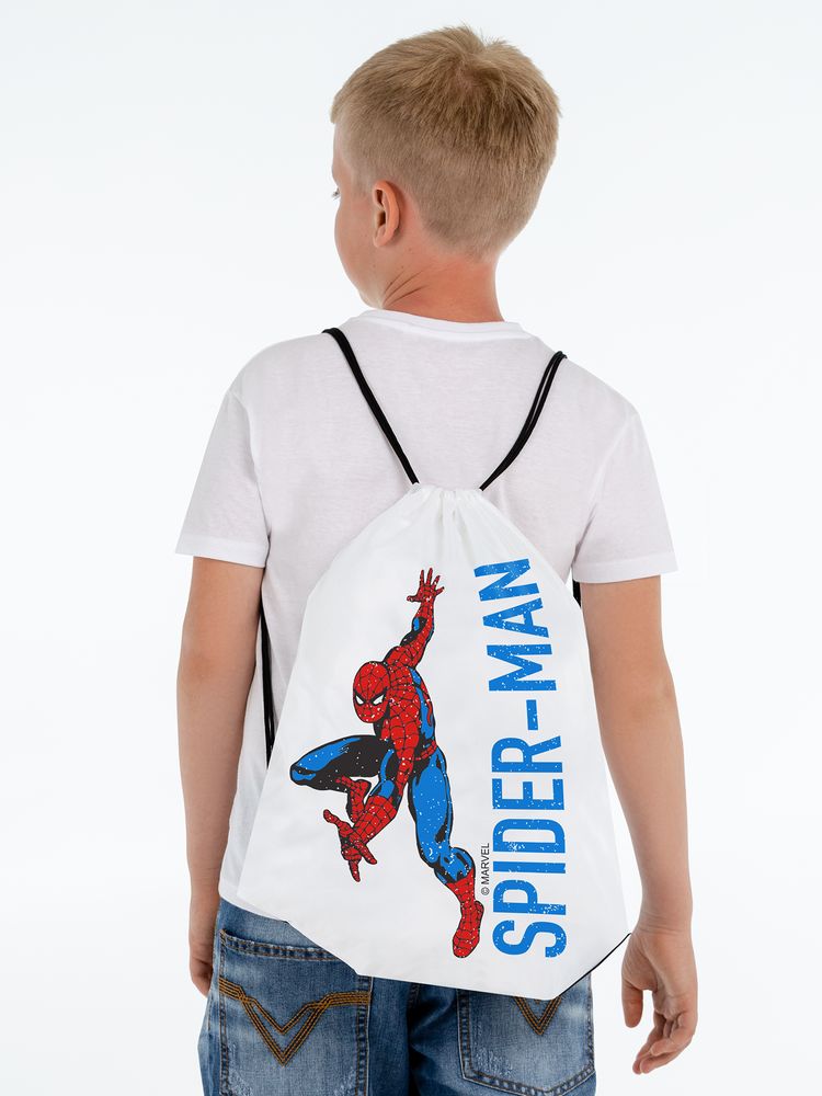 Рюкзак Spider-Man