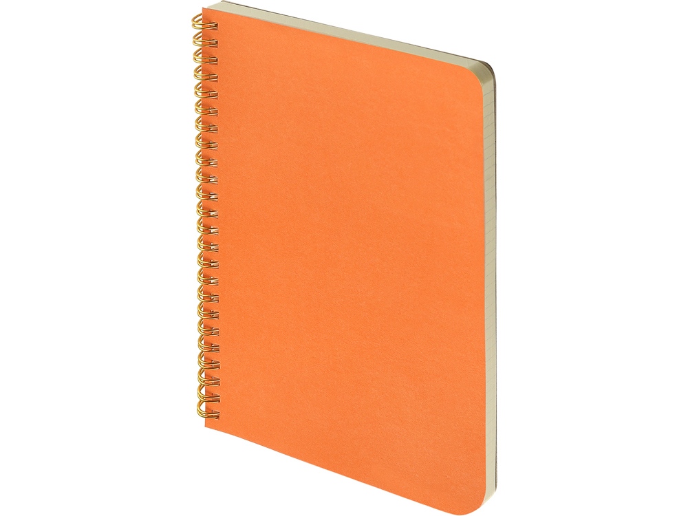 Бизнес тетрадь на гребне А5 Pragmatic, 60 листов в клетку, зеленый хаки