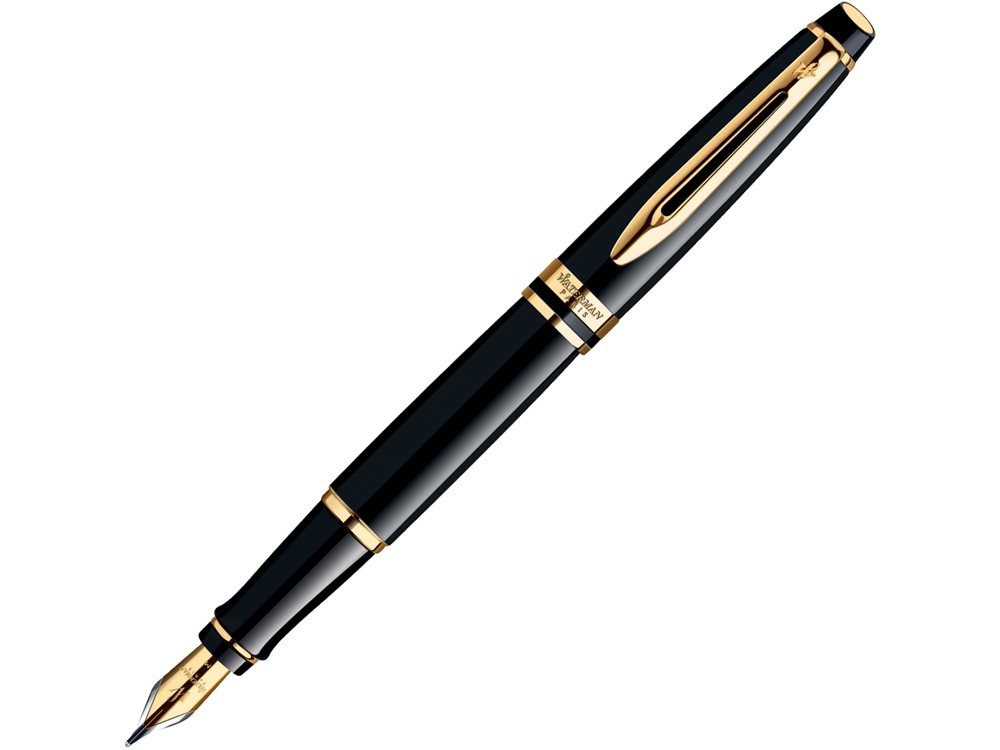 Перьевая ручка Waterman Expert 3, цвет: Matte Black CT, перо: F