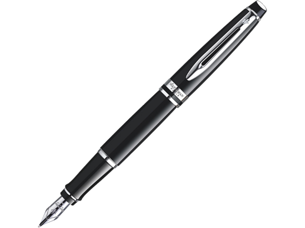 Перьевая ручка Waterman Expert 3, цвет: Matte Black CT, перо: F