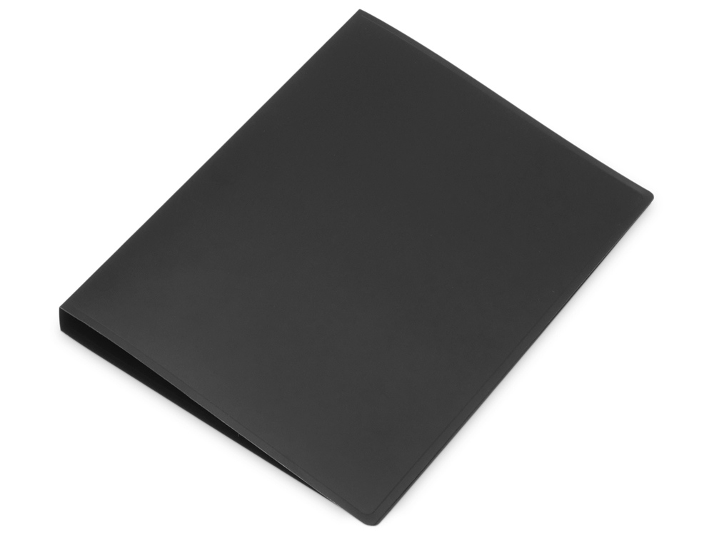 Папка пластиковая с 2 кольцами, прозрачный