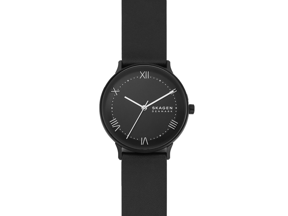 Часы наручные, мужские. Skagen