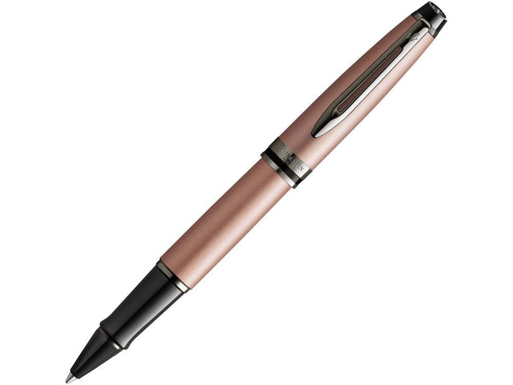 Ручка-роллер Waterman Expert Silver F BLK в подарочной упаковке